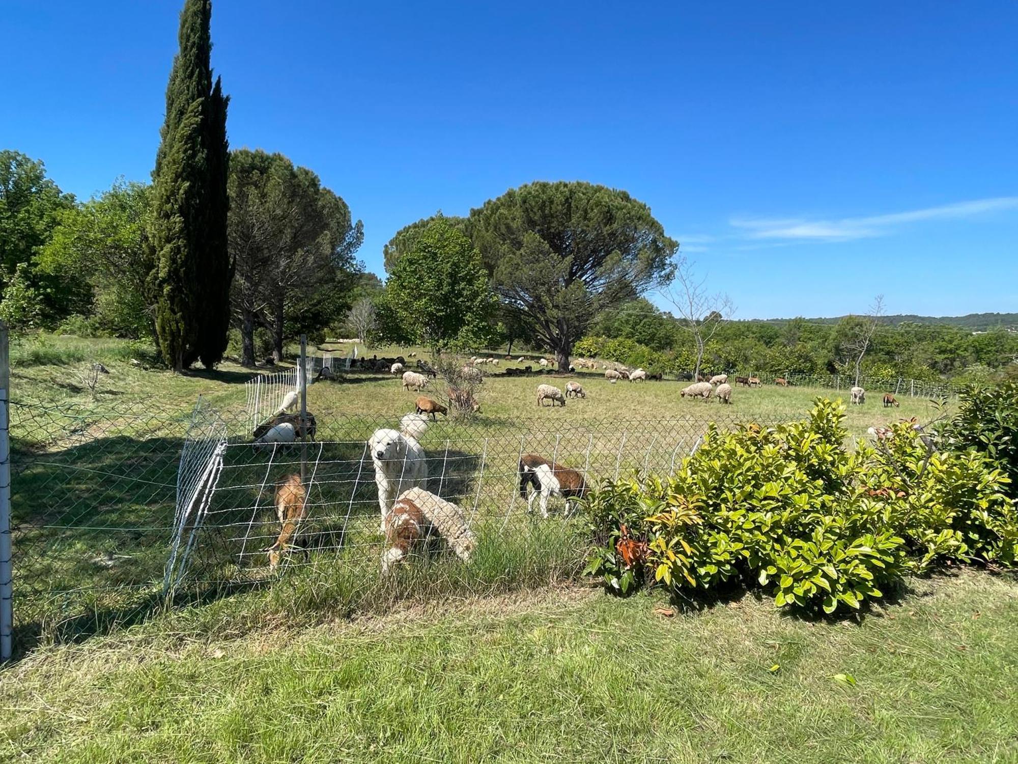 Villa Raphael Régusse Buitenkant foto